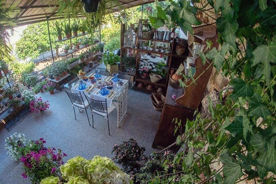 I leoni di Sicilia Villa Palermo Esterno foto