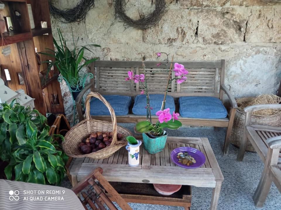 I leoni di Sicilia Villa Palermo Esterno foto