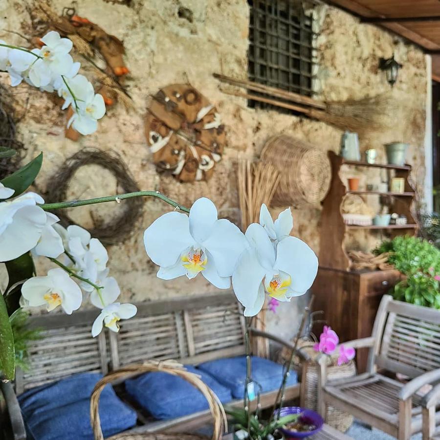 I leoni di Sicilia Villa Palermo Esterno foto